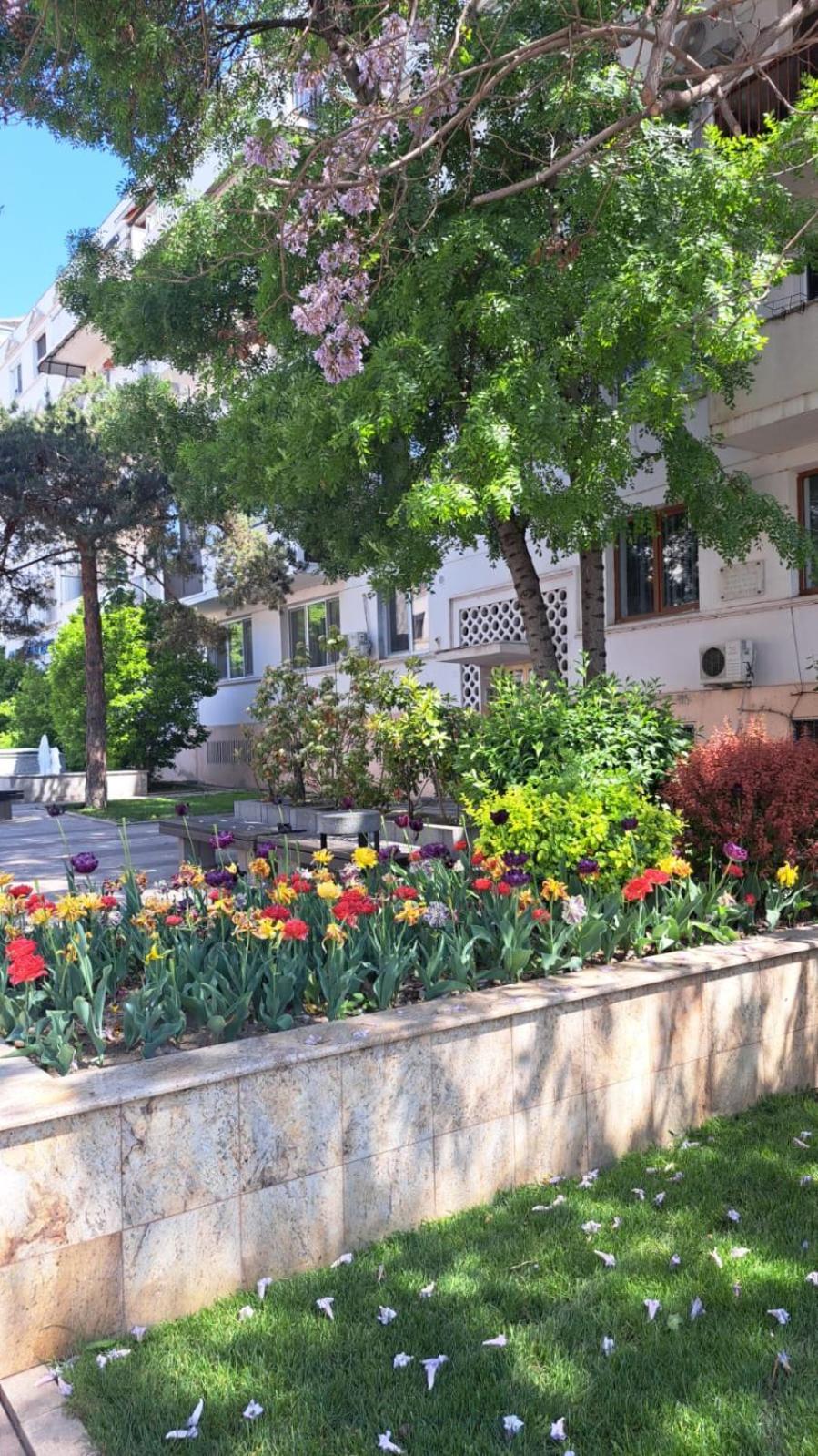 Apartament Kitty Centrul Istoric Craiova Exterior photo